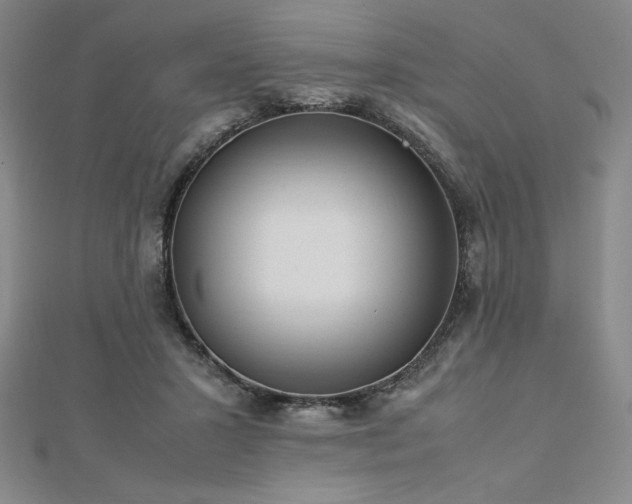 X0000113150407200909041238