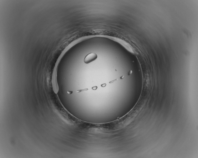 X0000113150408200909041238