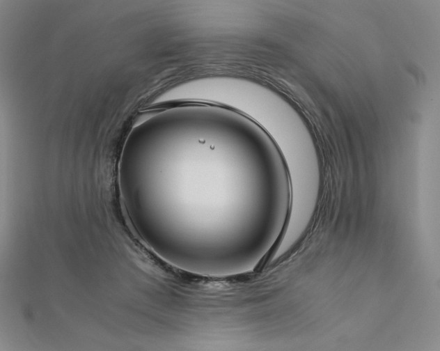 X0000113150409200909041238