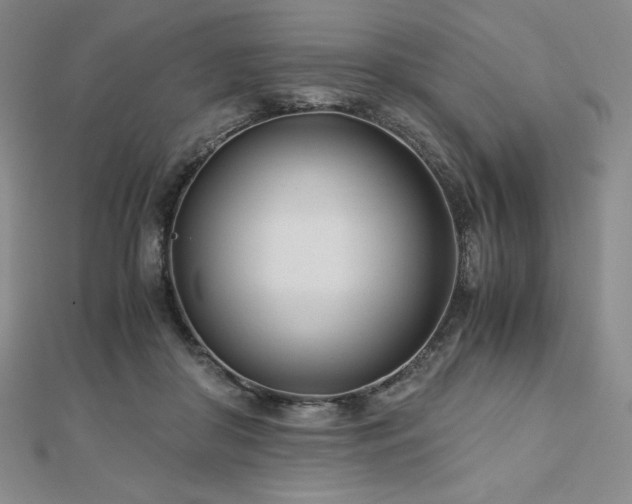 X0000113150410200909041238