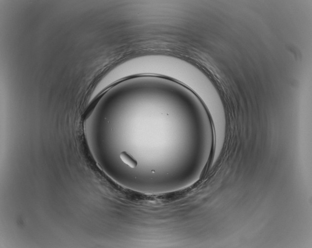 X0000113150411200909041238