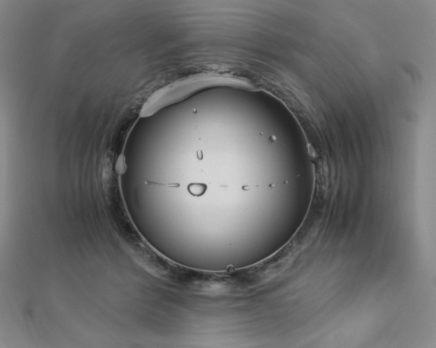 X0000113150412200909041238