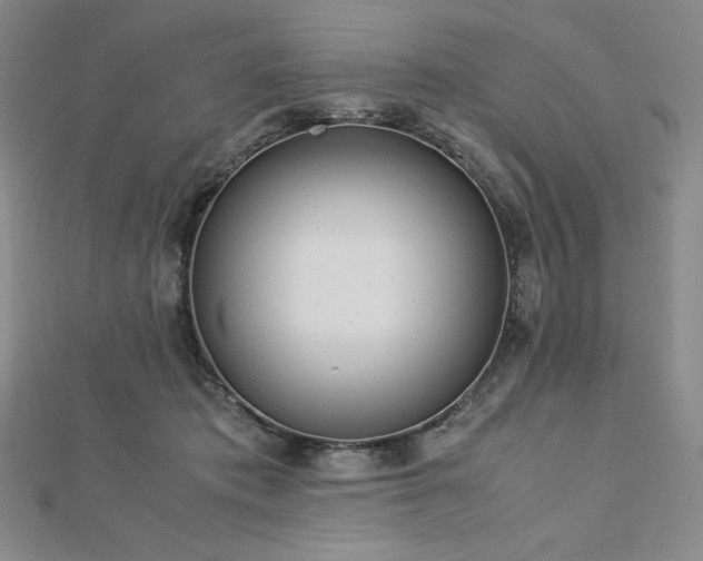 X0000113150413200909041238