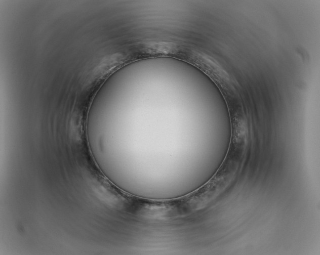 X0000113150414200909041238