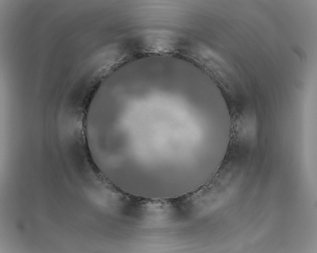 X0000113150415200909041238