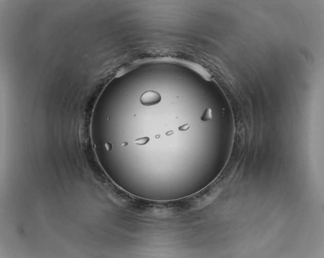 X0000113150416200909041238