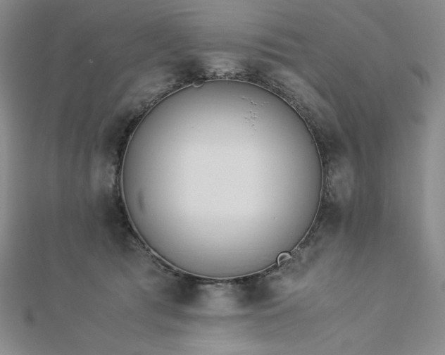 X0000113150417200909041238