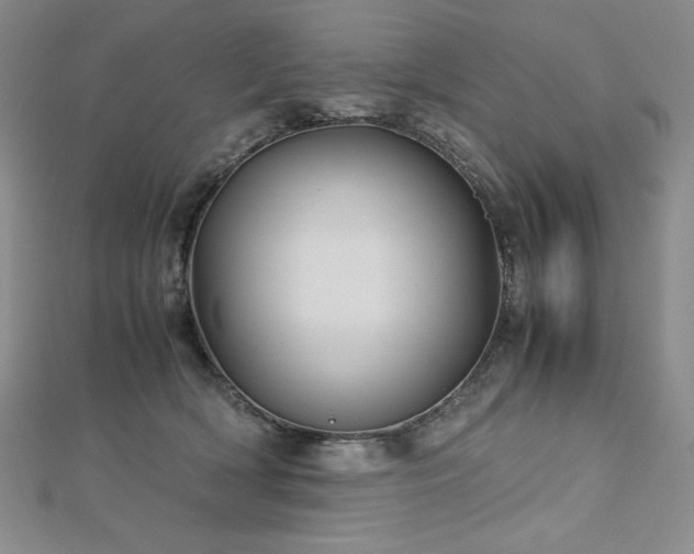 X0000113150418200909041238