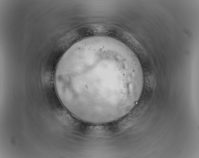 X0000113150419200909041238