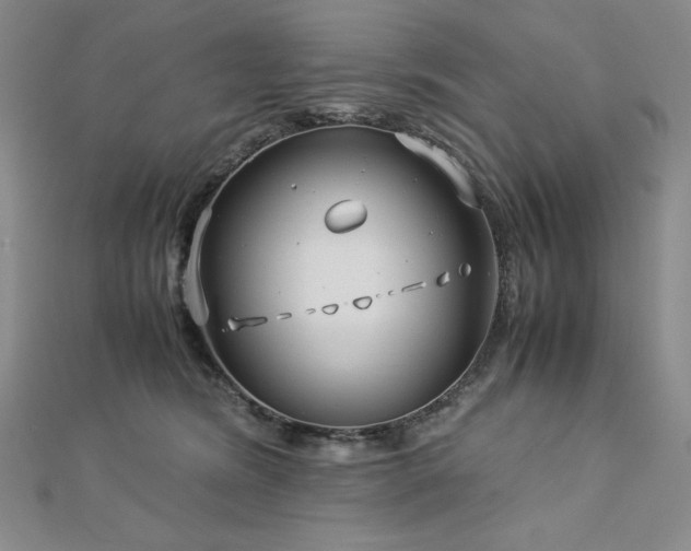 X0000113150420200909041238