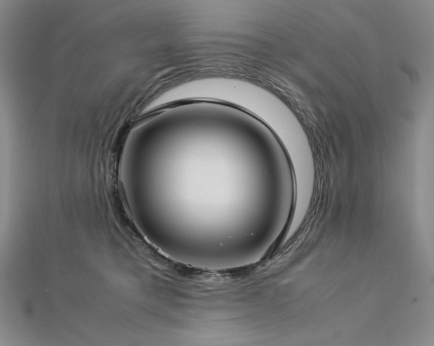 X0000113150421200909041238