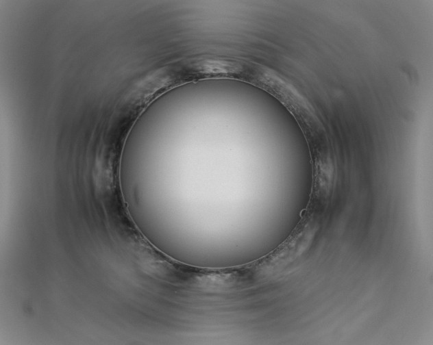 X0000113150422200909041238