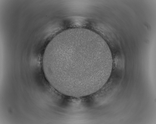 X0000113150423200909041238