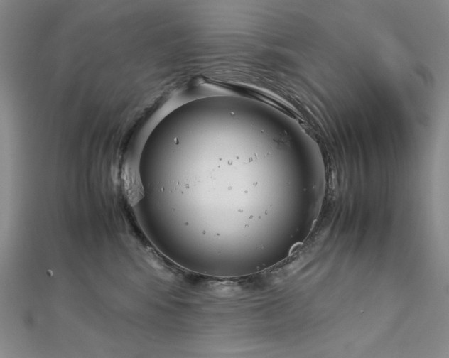 X0000113150424200909041238