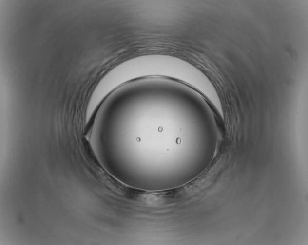 X0000113150425200909041238