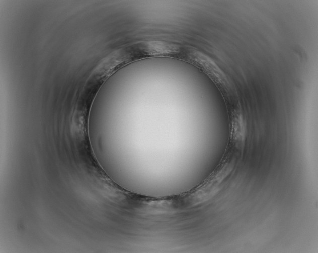 X0000113150426200909041238