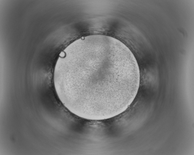 X0000113150427200909041238