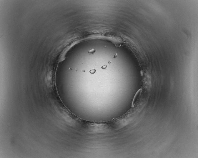 X0000113150428200909041238