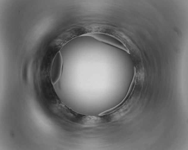 X0000113150429200909041238