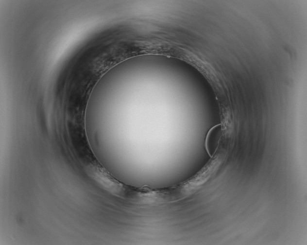 X0000113150430200909041238