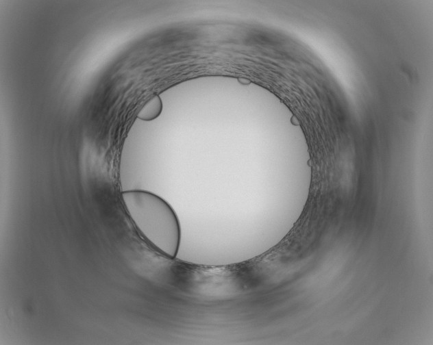 X0000113150431200909041237