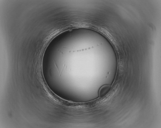 X0000113150433200909041237