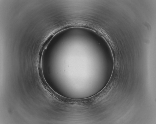 X0000113150434200909041237