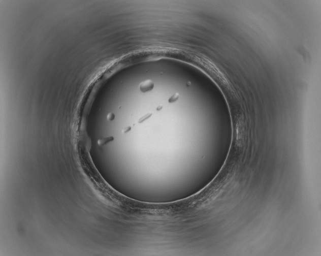 X0000113150436200909041237