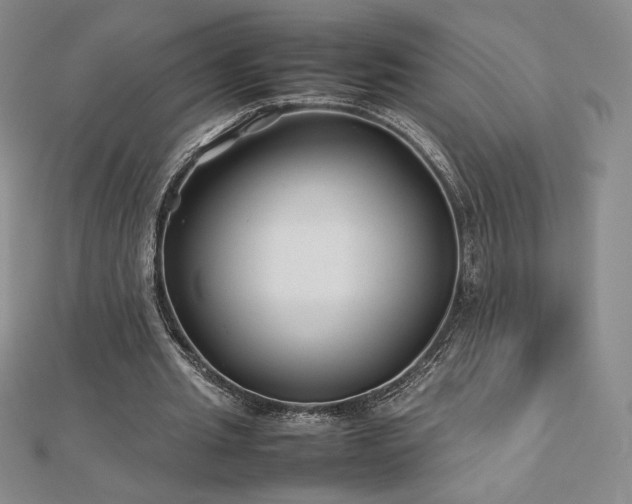 X0000113150437200909041237