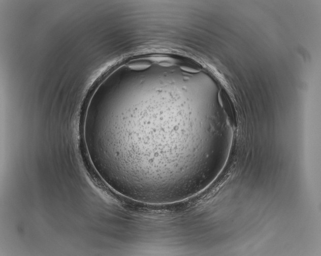 X0000113150438200909041237