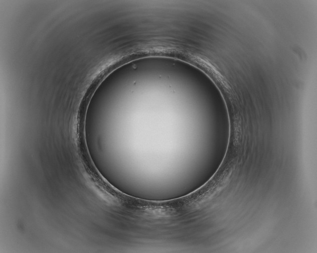 X0000113150439200909041237