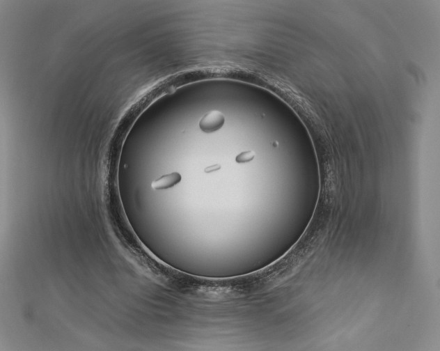 X0000113150440200909041237