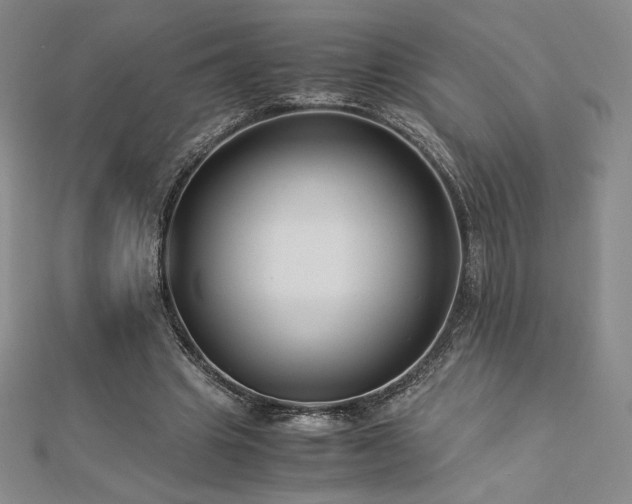 X0000113150441200909041237