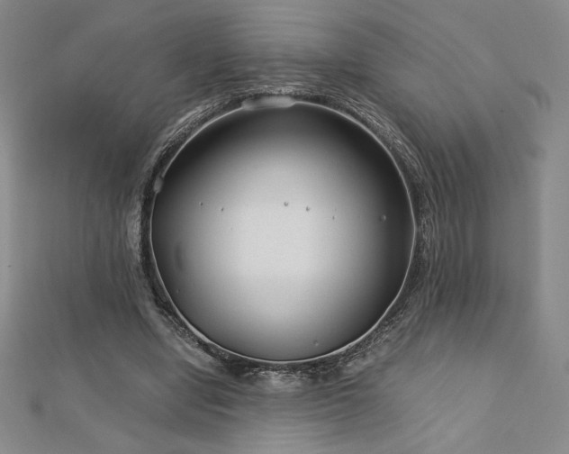 X0000113150442200909041237