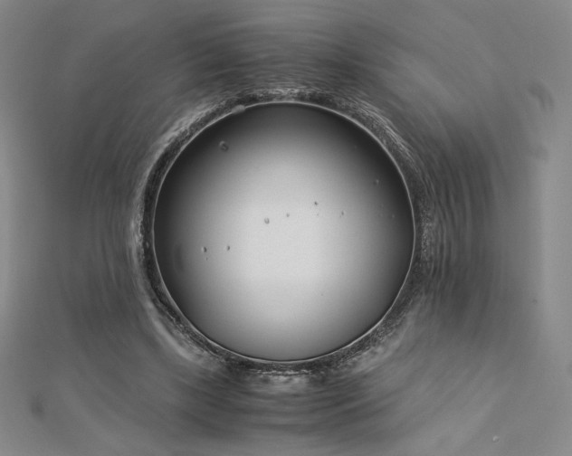 X0000113150443200909041237