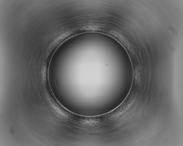 X0000113150445200909041237