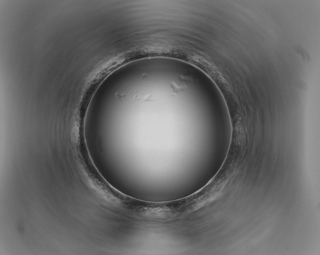 X0000113150446200909041237