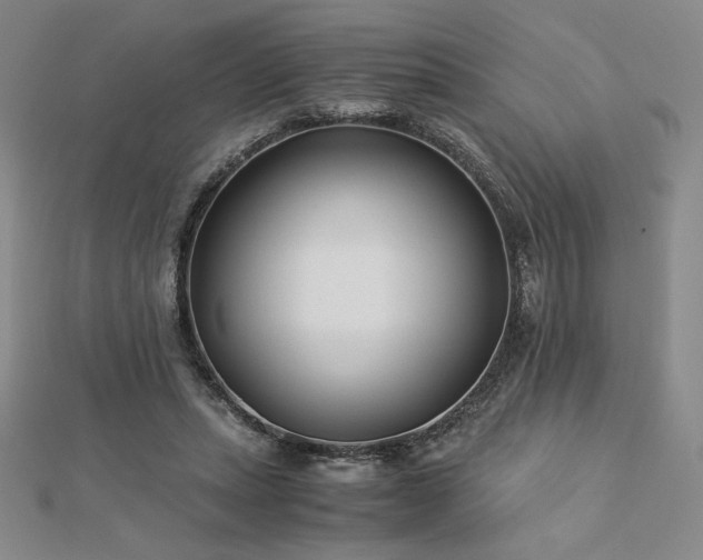 X0000113150447200909041237