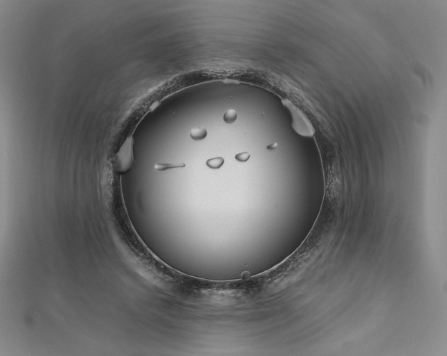 X0000113150448200909041237