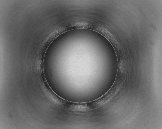 X0000113150449200909041237