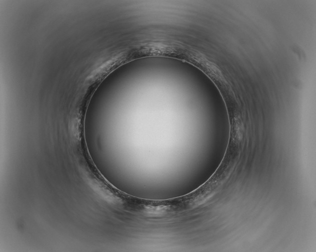 X0000113150450200909041237