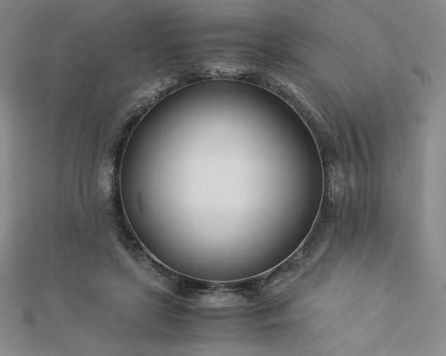 X0000113150451200909041237