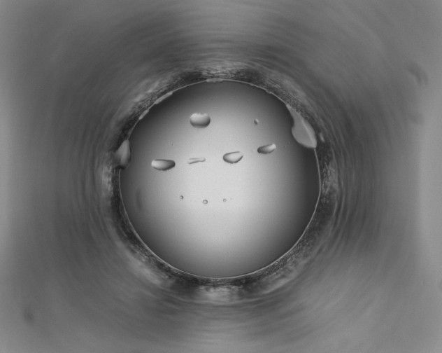 X0000113150452200909041237