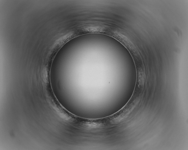 X0000113150453200909041237