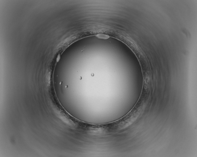 X0000113150454200909041237