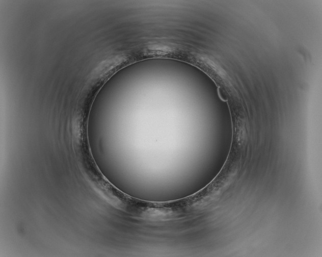 X0000113150455200909041237