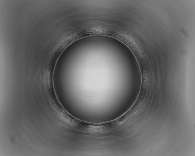 X0000113150457200909041237