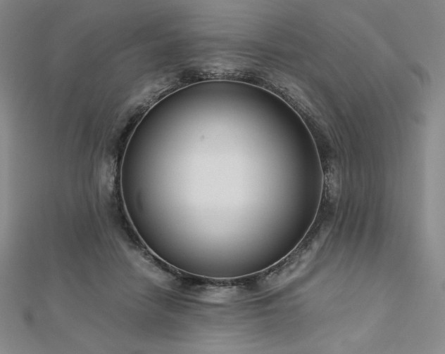 X0000113150458200909041237