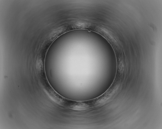 X0000113150459200909041237