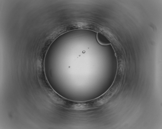 X0000113150461200909041237